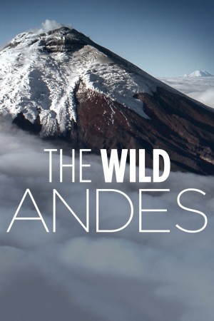 The Wild Andes